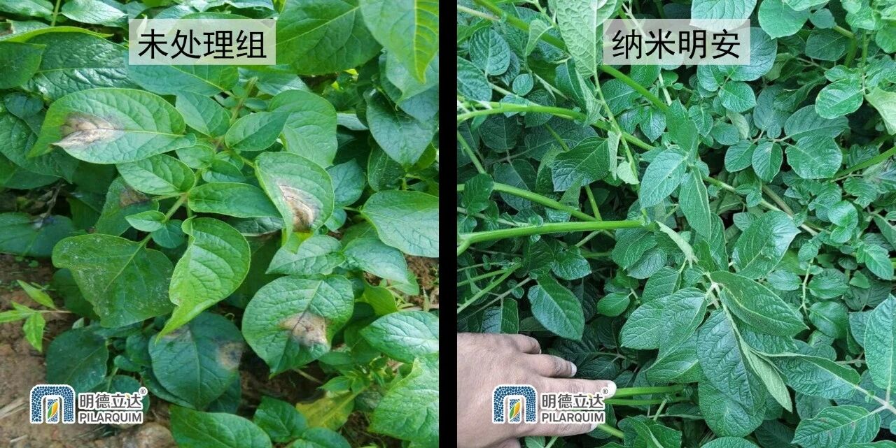 明德立达纳米明安®在海外全新上市,允纳®科技全球化布局加快推进