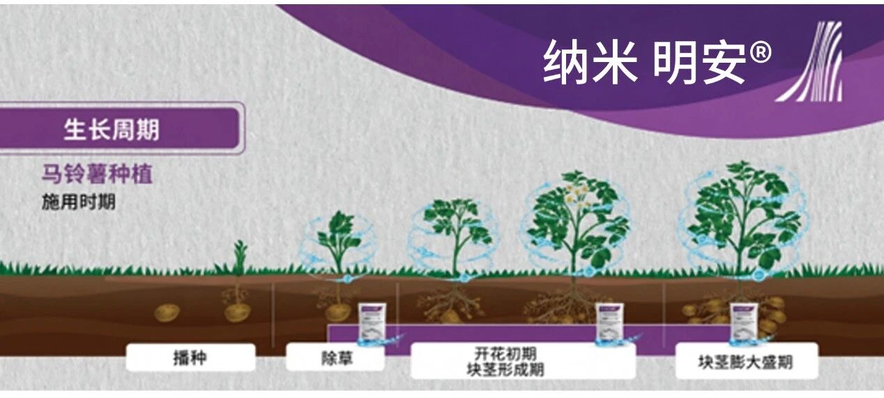 明德立达纳米明安®在海外全新上市,允纳®科技全球化布局加快推进