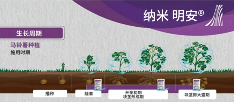 明德立达纳米杀菌剂——纳米明安®在厄瓜多尔上市,高效防控马铃薯晚疫病