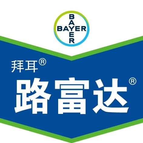 上市10年,拜耳氟吡菌酰胺杀线产品取得丰硕成果