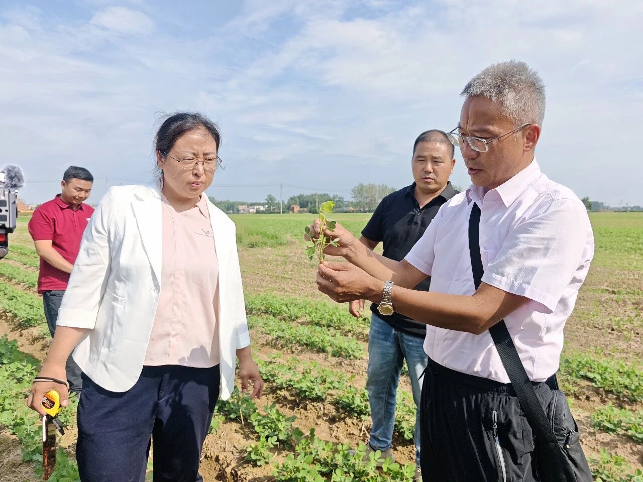 河南科技大学携手“黑能量”开展花生高产试验项目