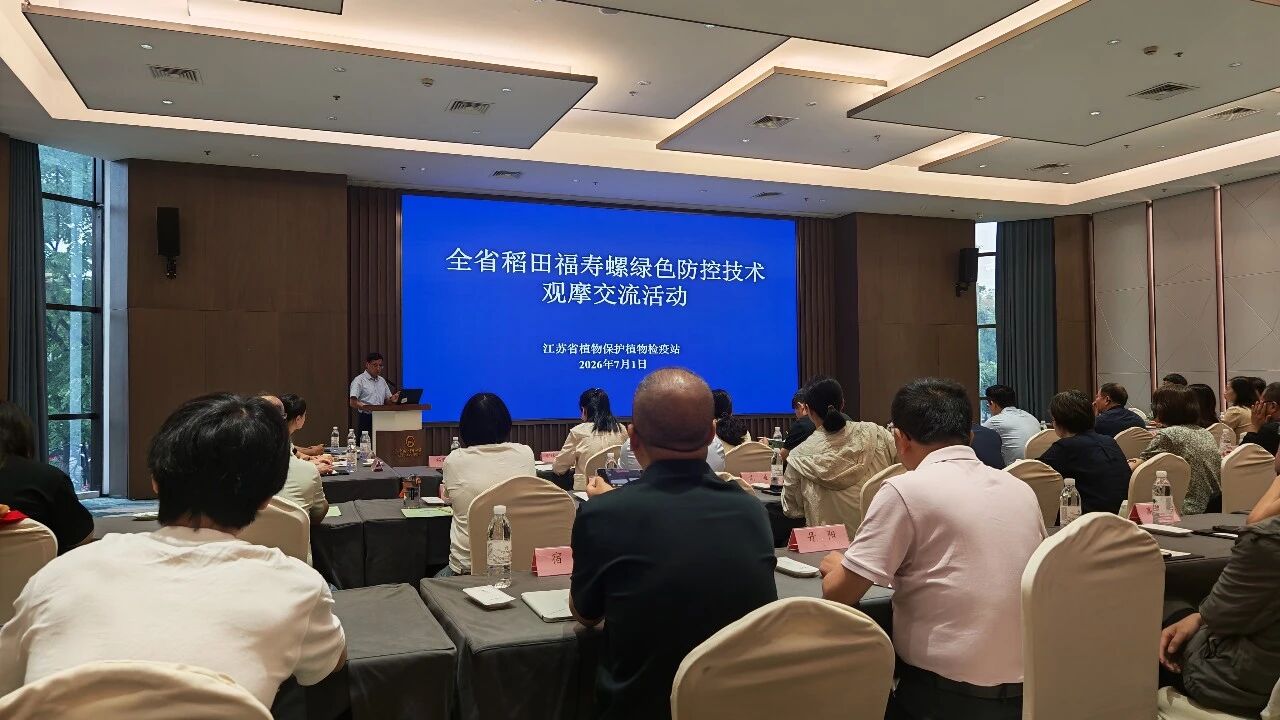 这场省级观摩会,为何让津灿灿的方案站上“C位”?