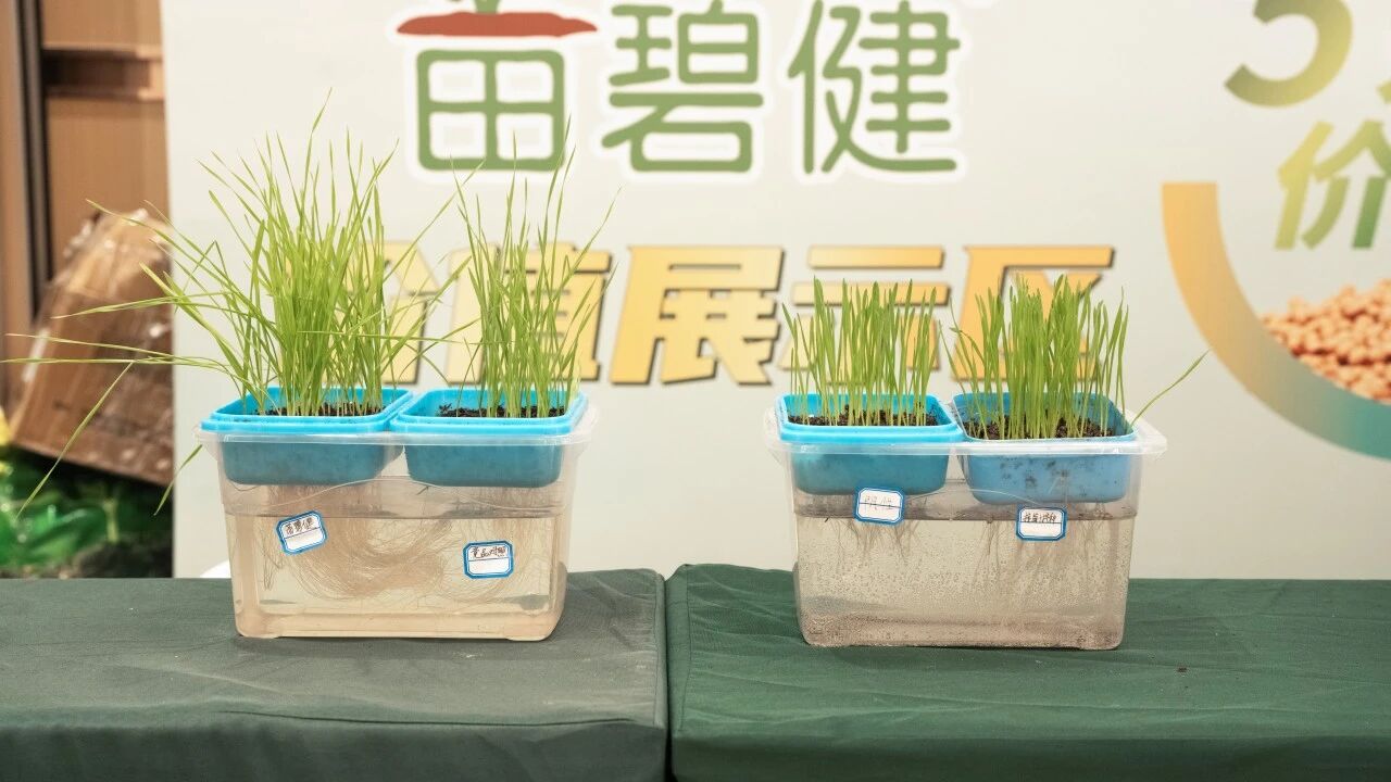 明德立达:两大品牌强强联手,从种到收全程护航