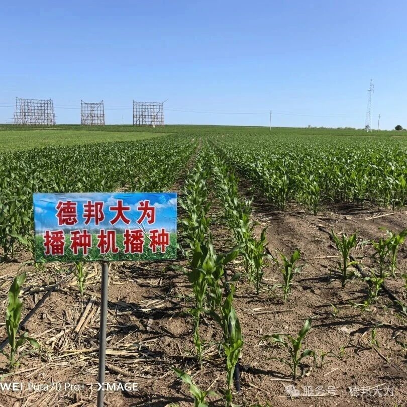 三方联动打造高产样板 德邦大为播种机助力兴安盟农技推广落地