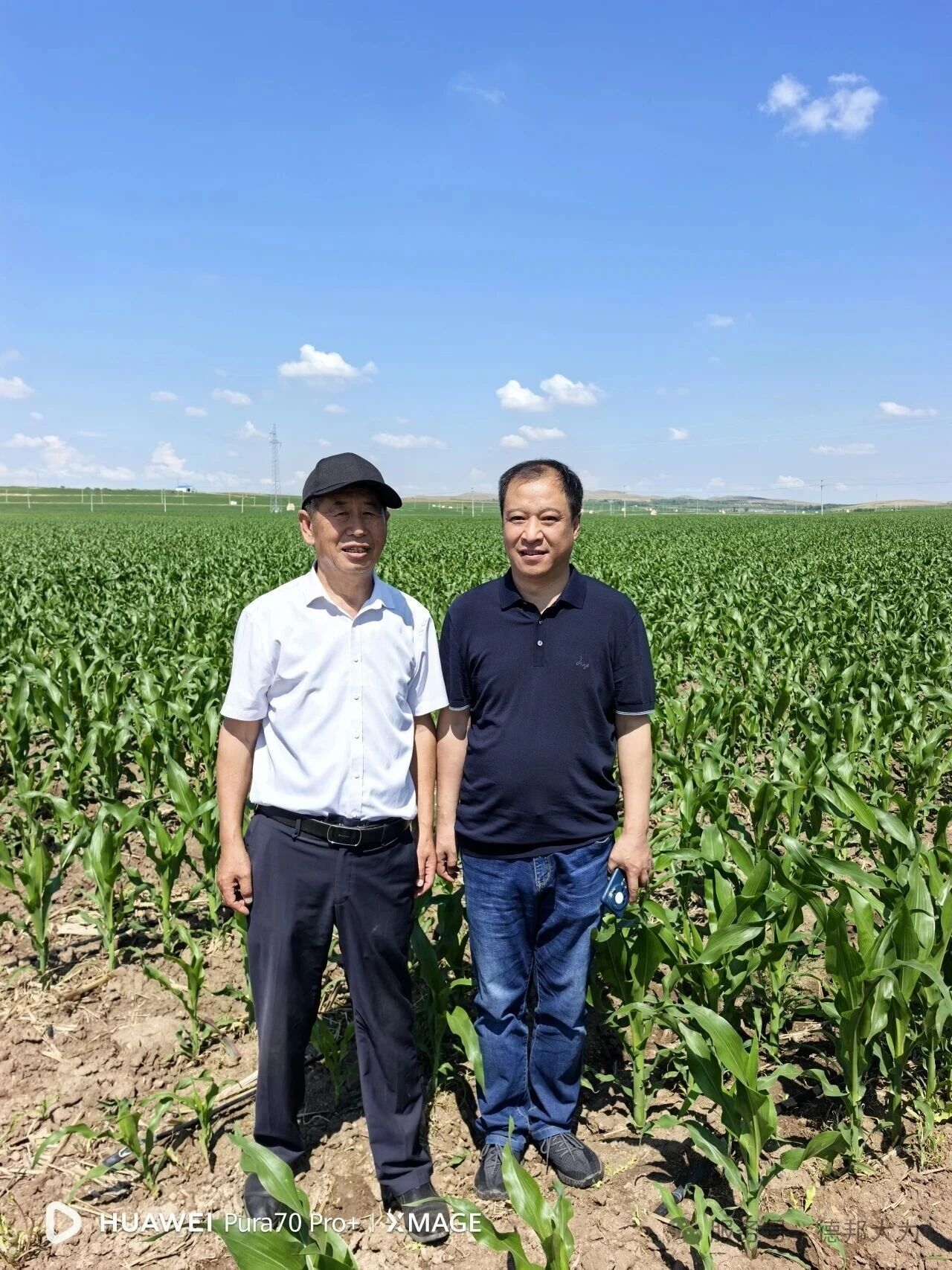 三方联动打造高产样板 德邦大为播种机助力兴安盟农技推广落地