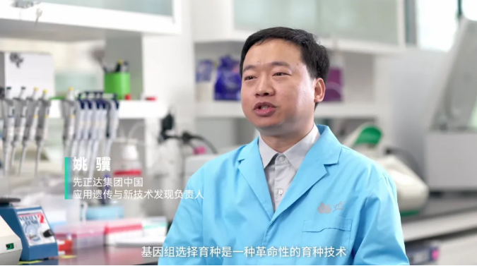 AI 重构育种新范式:先正达的″精准育种″新叙事