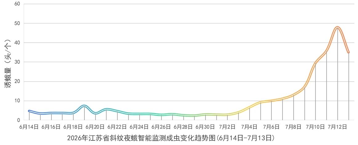 江苏省多地出现斜纹夜蛾成虫峰