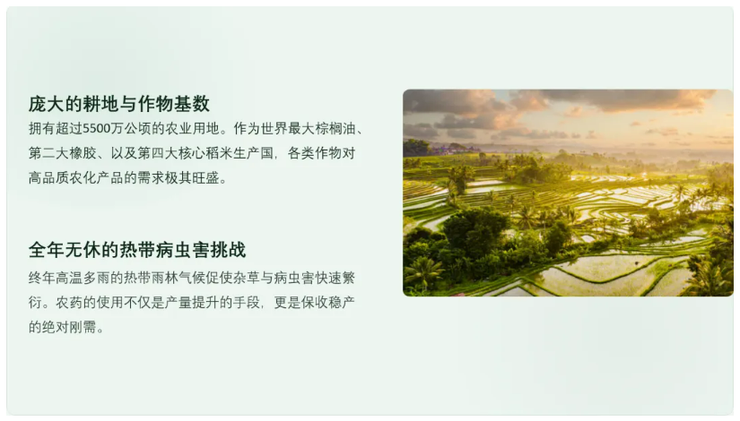 印尼农药市场：近30万吨年用量背后的结构性机会与本土化壁垒