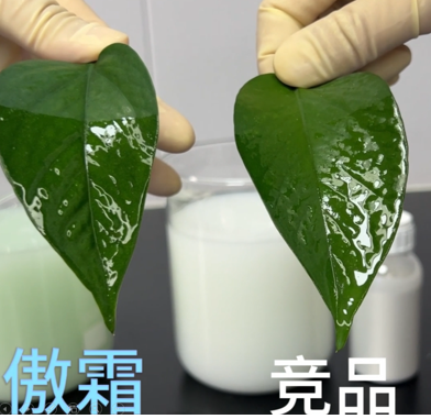 雨季卵菌病害连年爆发，千万亩作物减产难题该如何破解？