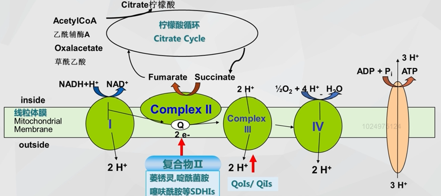 明德立达战略杀菌剂全新上市