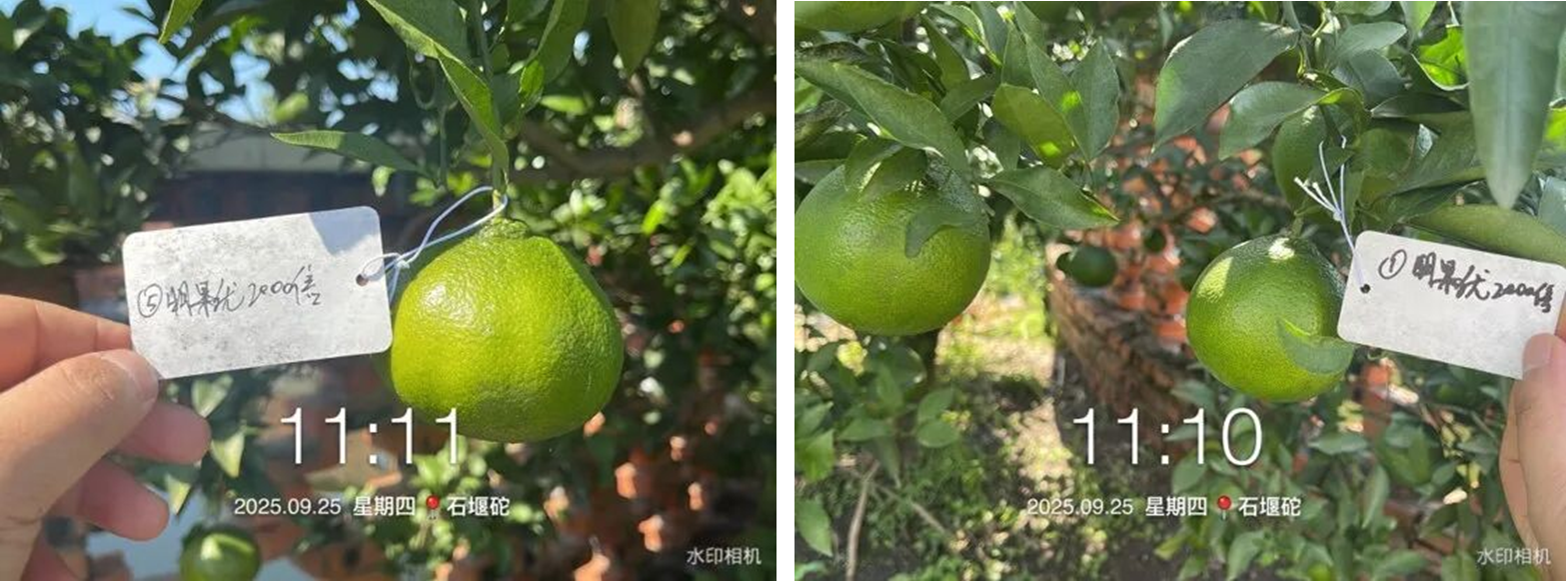 明德立达战略杀菌剂全新上市