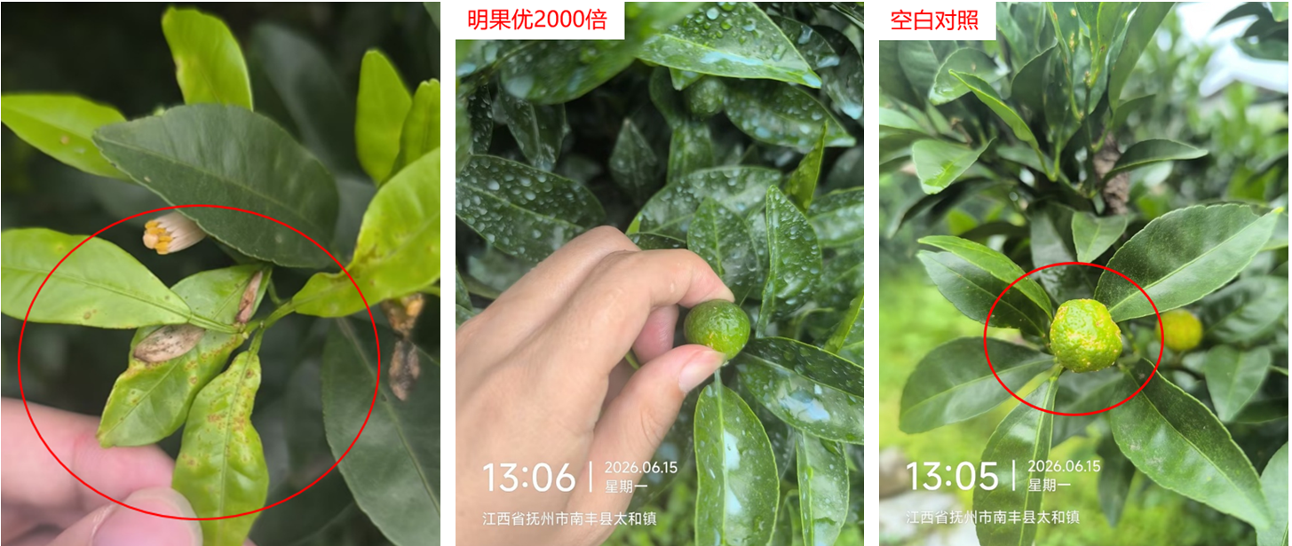 明德立达战略杀菌剂全新上市