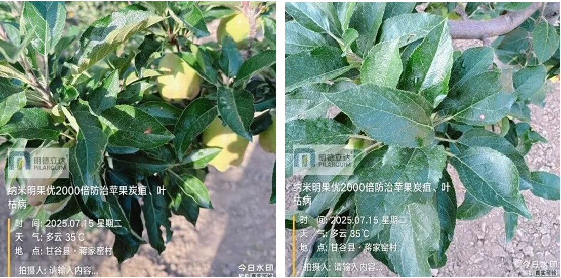 明德立达战略杀菌剂全新上市