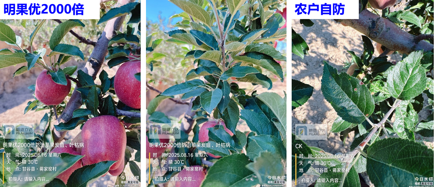 明德立达战略杀菌剂全新上市