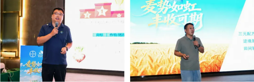 拜耳丰可期®种衣剂正式上市：三元复配新方案，防虫防病促分蘖