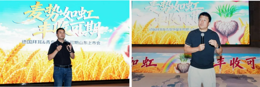 拜耳丰可期®种衣剂正式上市：三元复配新方案，防虫防病促分蘖