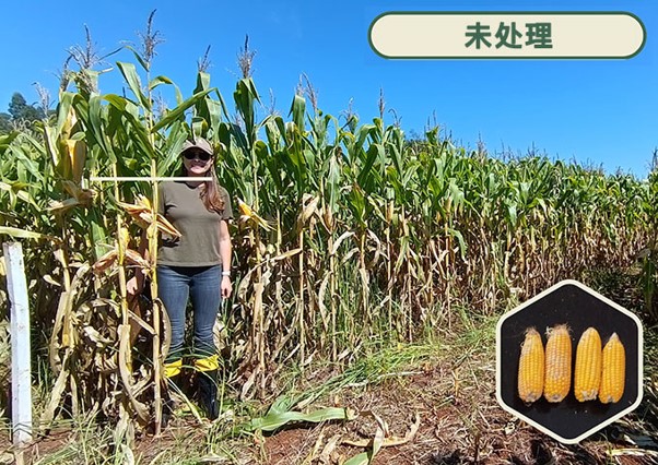 聚焦新分子Pterica®:Agrobiomics 推出全新种子处理生物刺激剂Resilya®