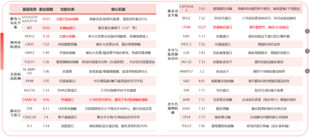 一场关于″信号″的农业革命——TBIO植优力十年功能肽研究与植物分子调控探索