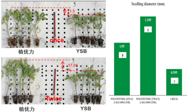 一场关于″信号″的农业革命——TBIO植优力十年功能肽研究与植物分子调控探索