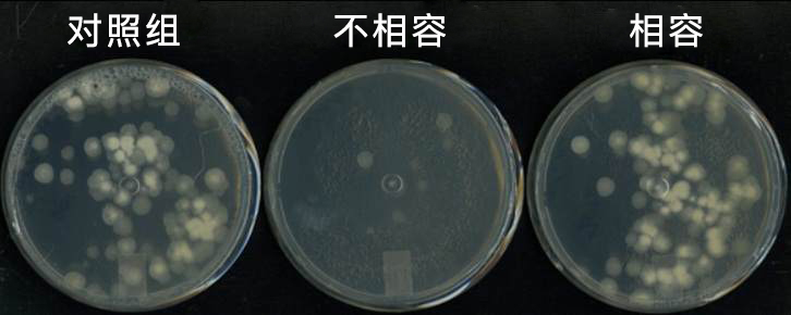 ″存活″≠ ″有药效″:确认微生物存活转化为生物药效的核心检测有哪些?
