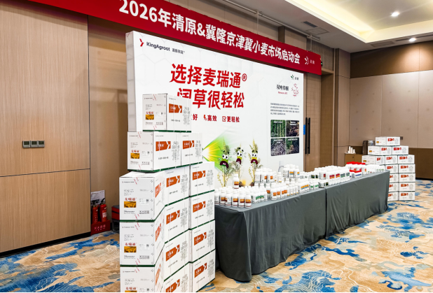 清原双唑草酮新产品麦瑞通®在河北成功上市