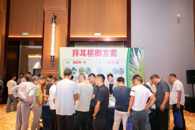 拜耳"四大天王"入局海南槟榔:300万亩"致富树"黄化病困局迎系统解法