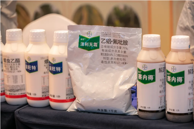 拜耳"四大天王"入局海南槟榔:300万亩"致富树"黄化病困局迎系统解法