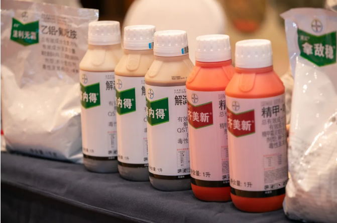 拜耳"四大天王"入局海南槟榔:300万亩"致富树"黄化病困局迎系统解法