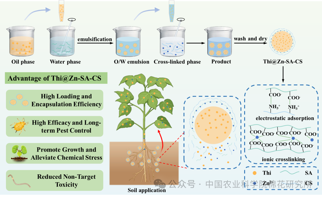 640.png 新型噻虫啉微胶囊实现″药肥一体化″绿色防控