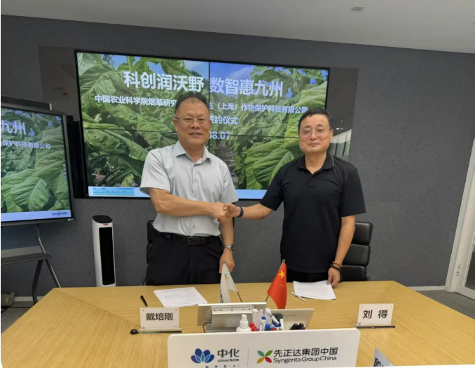 QQ20260812-104653.jpg 先正达与中国农科院烟草所深化战略合作,聚焦创新研发、新型绿色防控技术示范推广