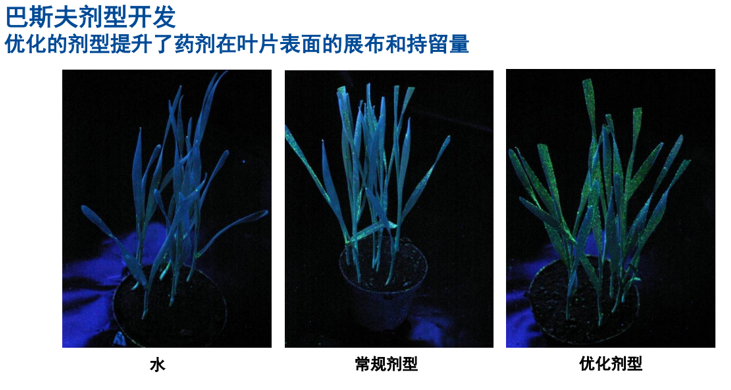 农药研发还在靠筛选吗?从分子设计到制剂突围,两大跨国巨头给出答案