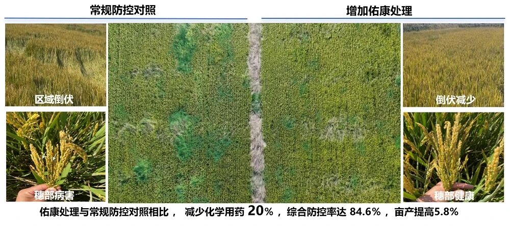 5000万元！这项转让成果是跨越20年的技术革命