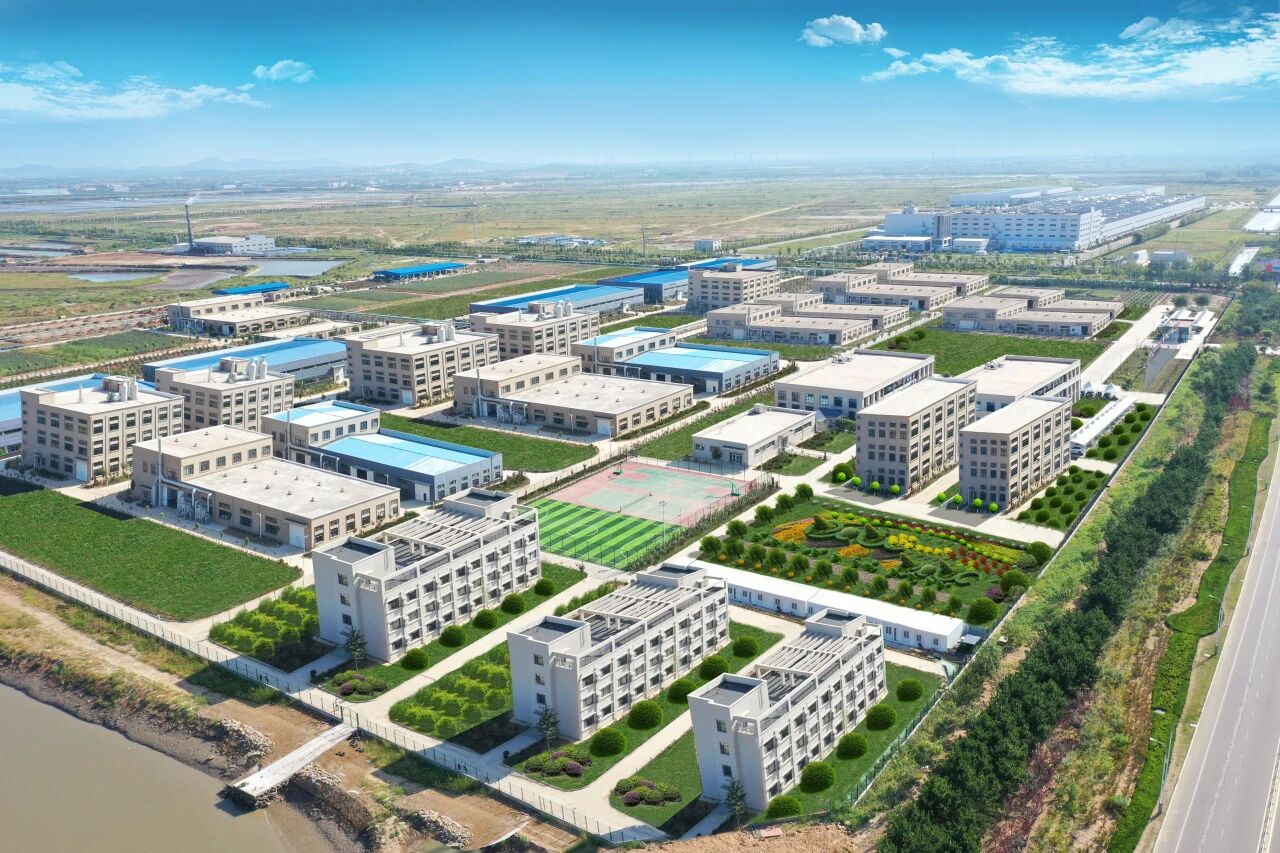 青岛金尔全新化合物发明专利正式获批，新化合物商业化运营全面启动！