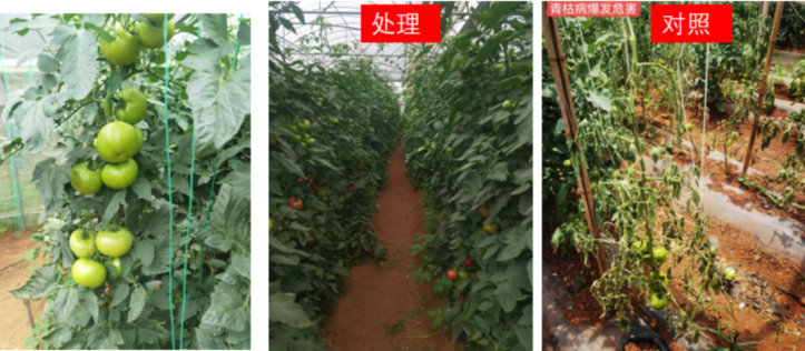 11年精心布局,明德立达在根际施药板块下了一盘大棋