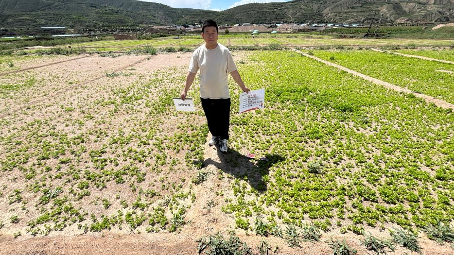 山东康乔新产品地善堂®成功上市