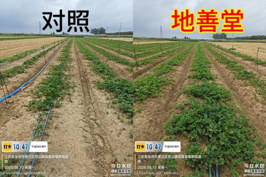 山东康乔新产品地善堂®成功上市
