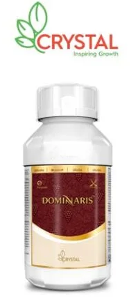 印度Crystal 推出双重作用机理杀菌剂DOMINARIS，靶向葡萄霜霉病