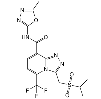 图片1.png 水稻+抗性禾本科杂草:首个具有酰胺结构的HPPD分子正在进入"验证期"