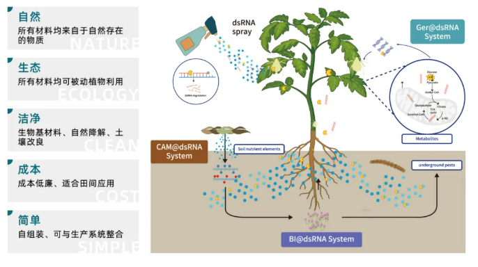 植生优谷完成数千万元Pre-A轮融资,加速RNA生物农药产业化落地