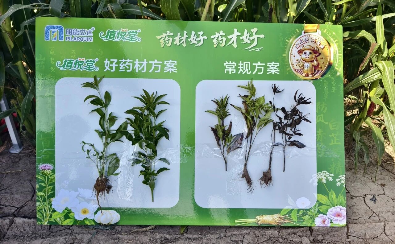 五大核心产品率先登记,明德立达连续八年聚焦中药材健康种植