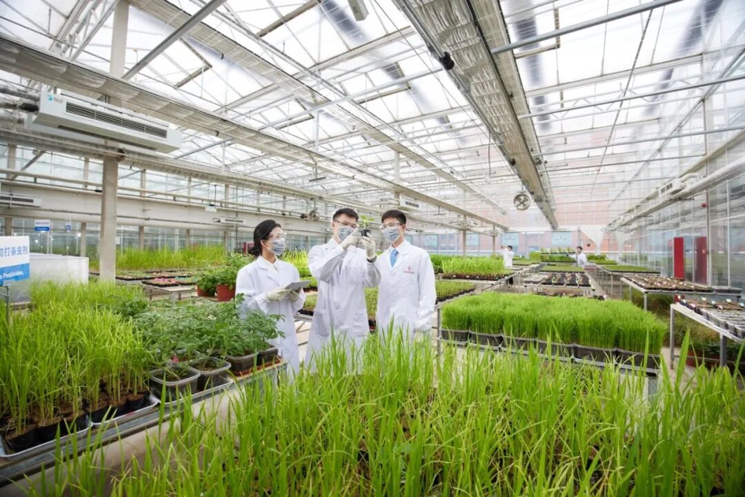 清原除草剂创制成果获青岛市科学技术进步一等奖