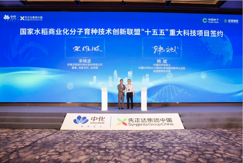 先正达集团全球水稻技术创新中心落地合肥，链接中国育种能力与全球研发资源