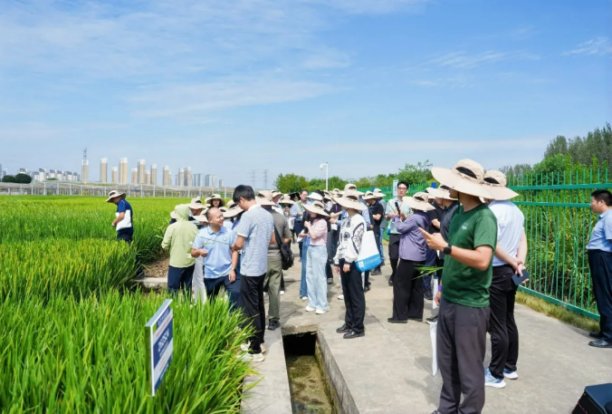 六区联动、四年迭代：44个生物育种作物性状产品为生物育种产业化″练兵″