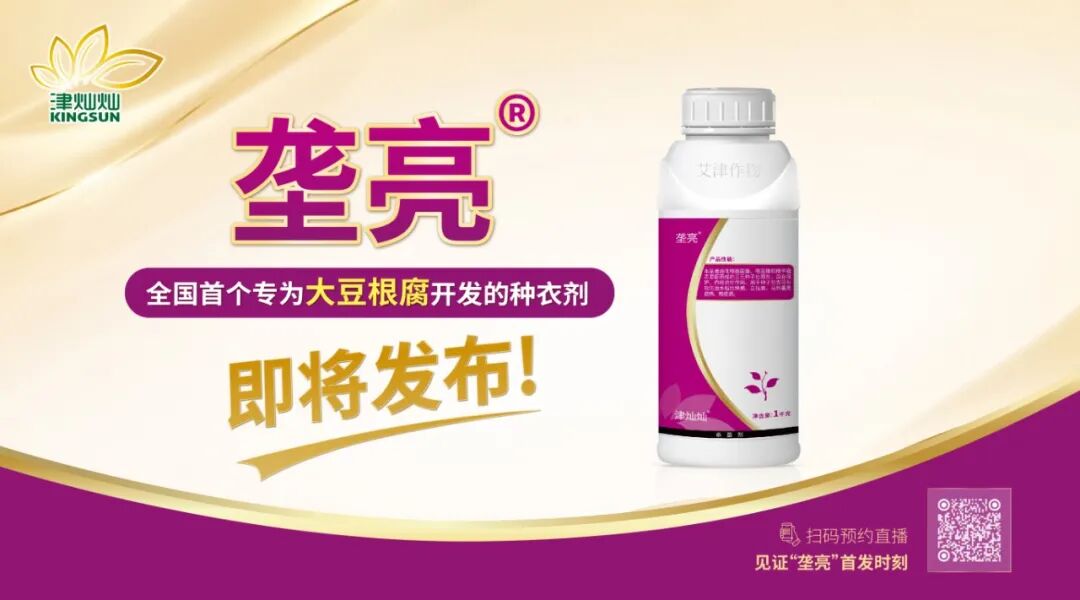 艾津集团新产品垄亮®即将发布