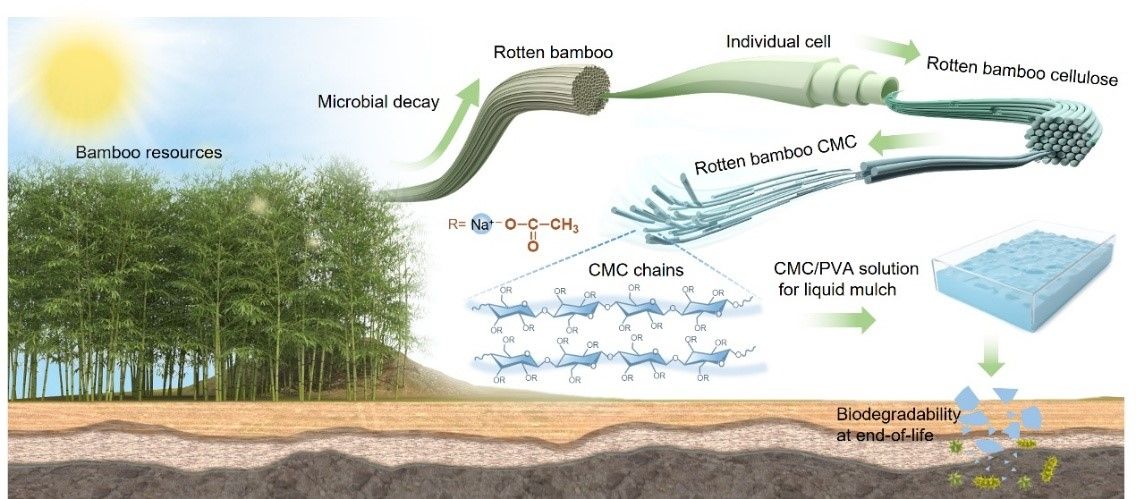 6BE05A8ECB726A4CACD191D17AE_8B0B5B74_1AC9D.jpg 华中农业大学研发一种可喷施、生物降解的液体地膜