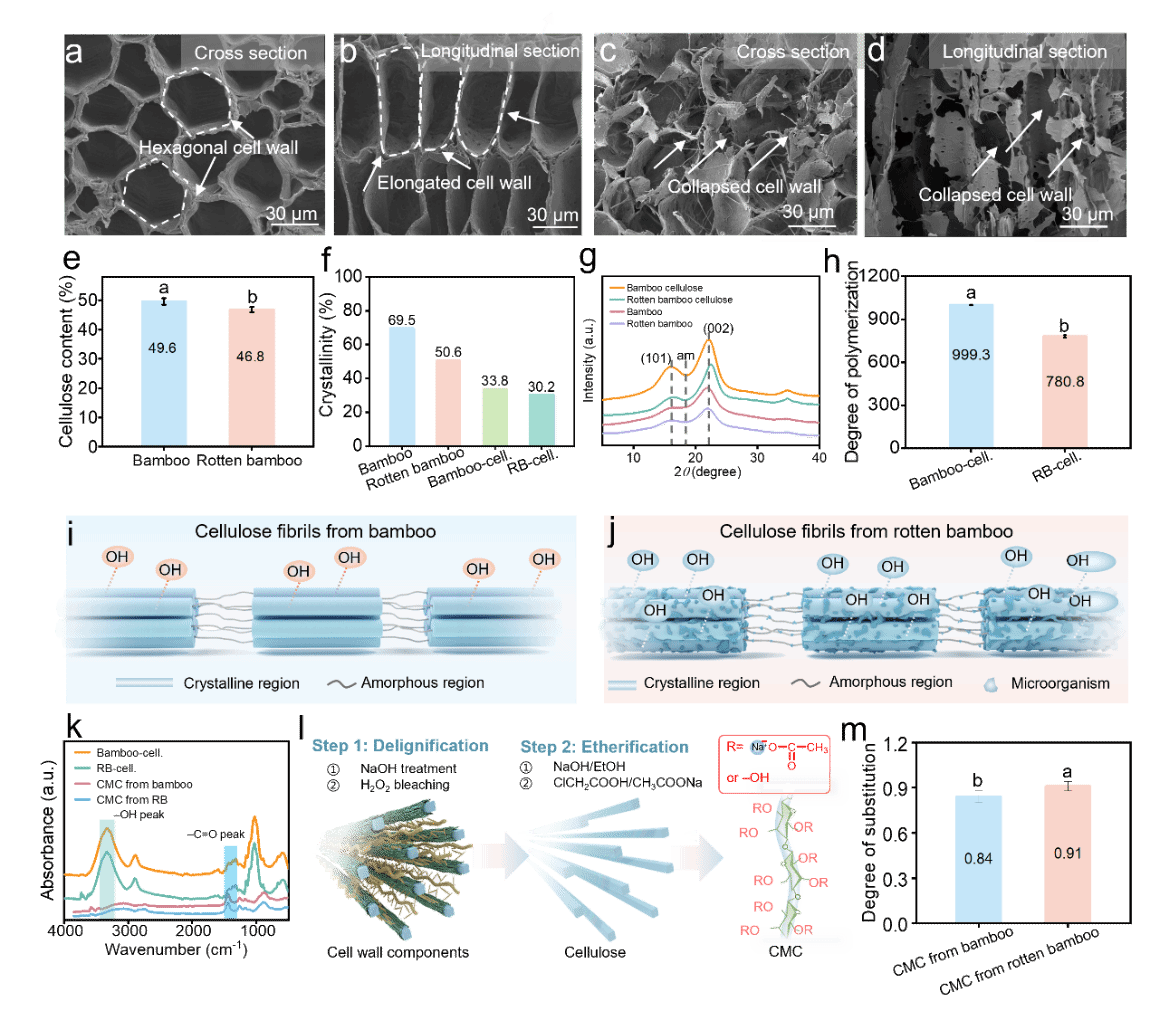 BEBBD22CB1732EA3AA221F92638_77E9E3F3_32DFE.png 华中农业大学研发一种可喷施、生物降解的液体地膜