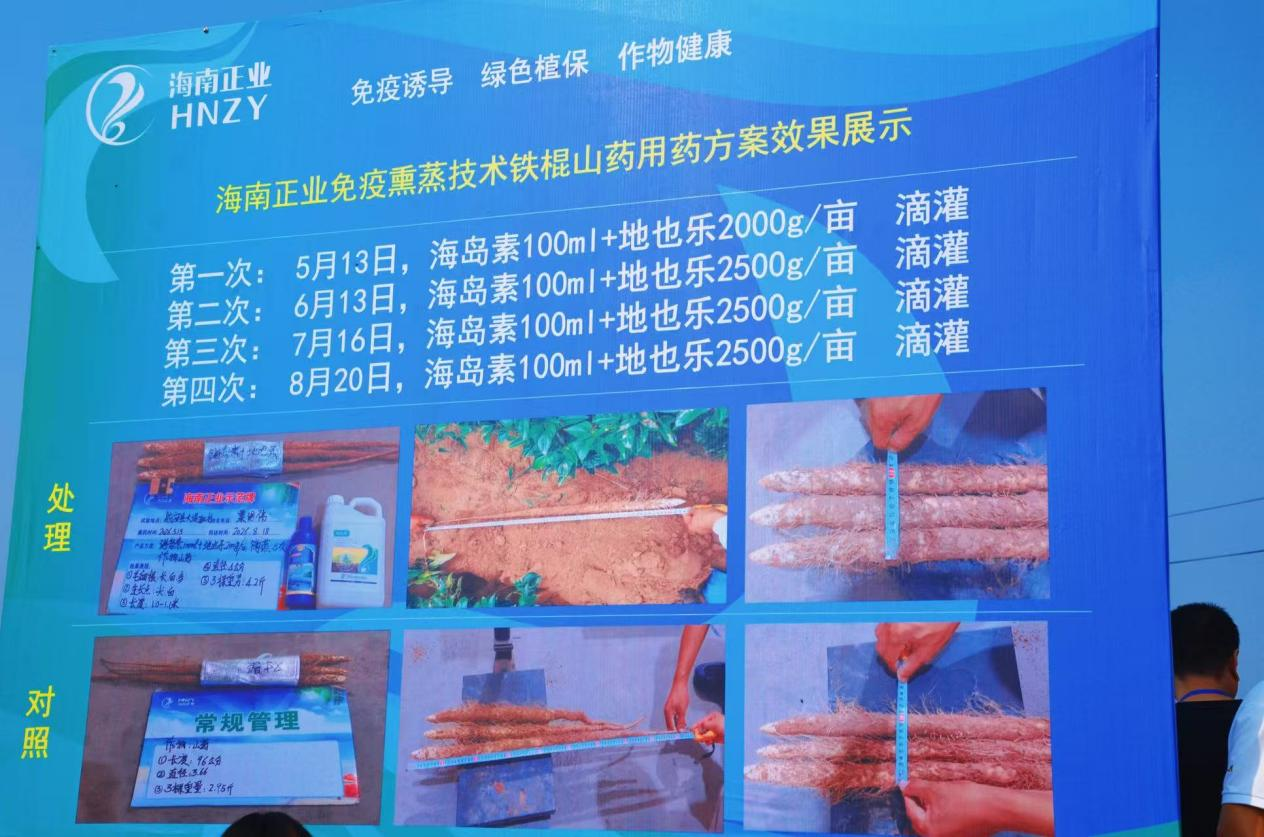 增产19.9%!海南正业这项创新技术直击行业痛点