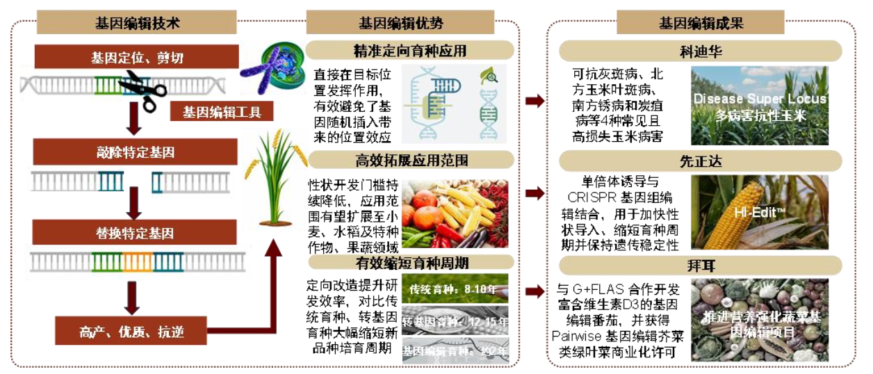 新一轮全球农业科技革命——生物技术与AI共振，种业与植保格局趋稳，智能装备加速″机器换人″
