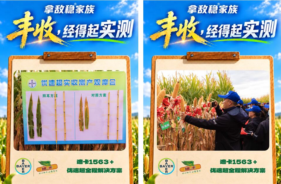 拜耳拿敌稳®家族：再传增产捷报，累计应用1.38亿亩次