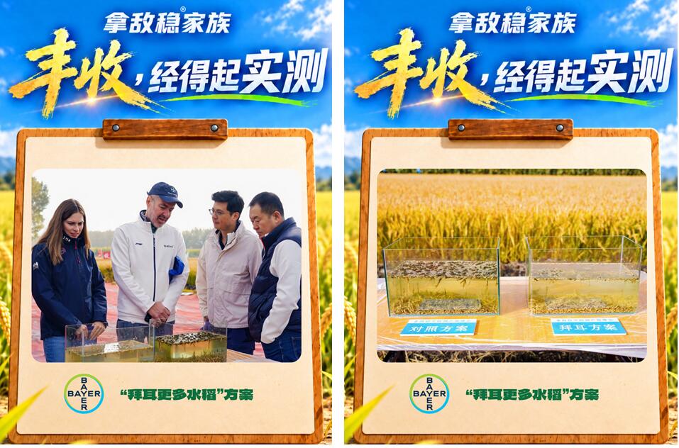 拜耳拿敌稳®家族：再传增产捷报，累计应用1.38亿亩次